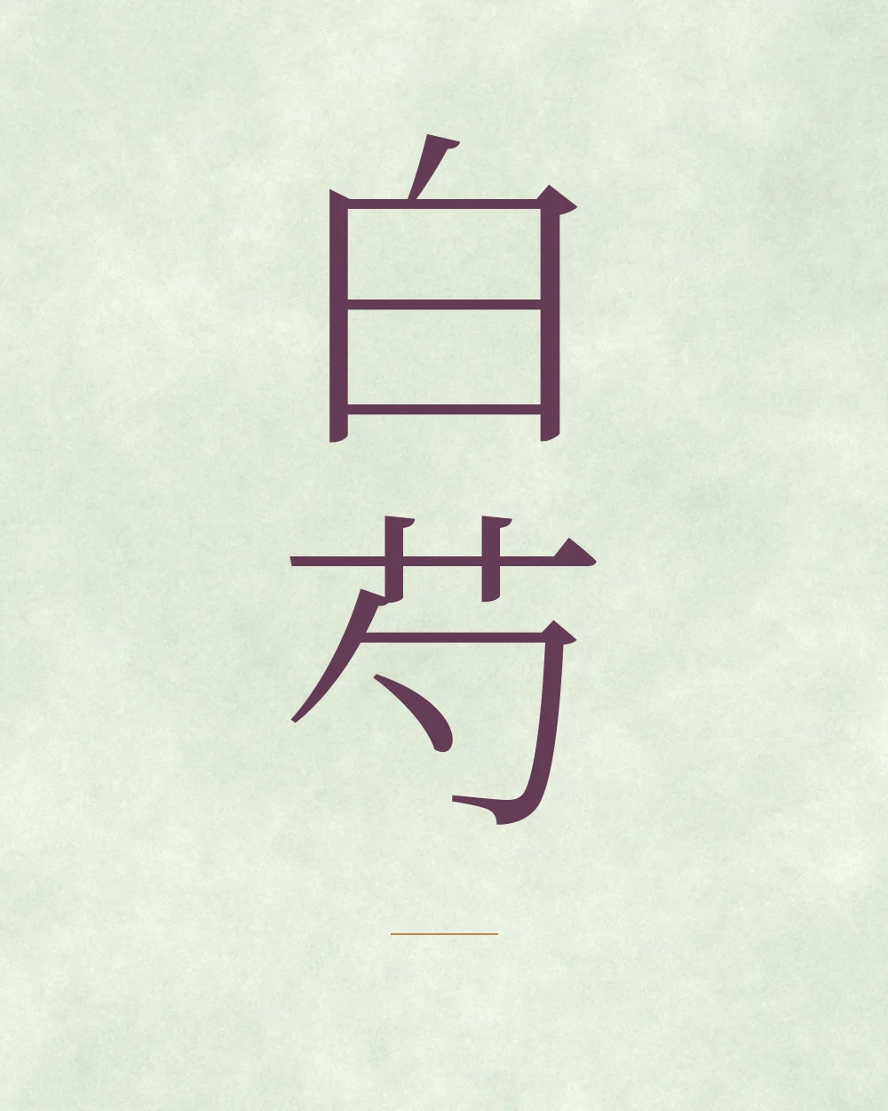 The Chinese characters for Bai Shao on pale green watercolour paper
