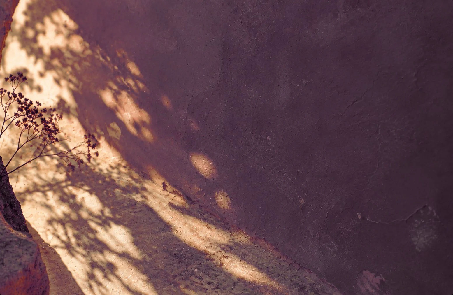 Late sun and leaf shadows on a weathered wall, for Andrea Garratt&rsquo;s whole-person approach to acupuncture in the Cotswolds