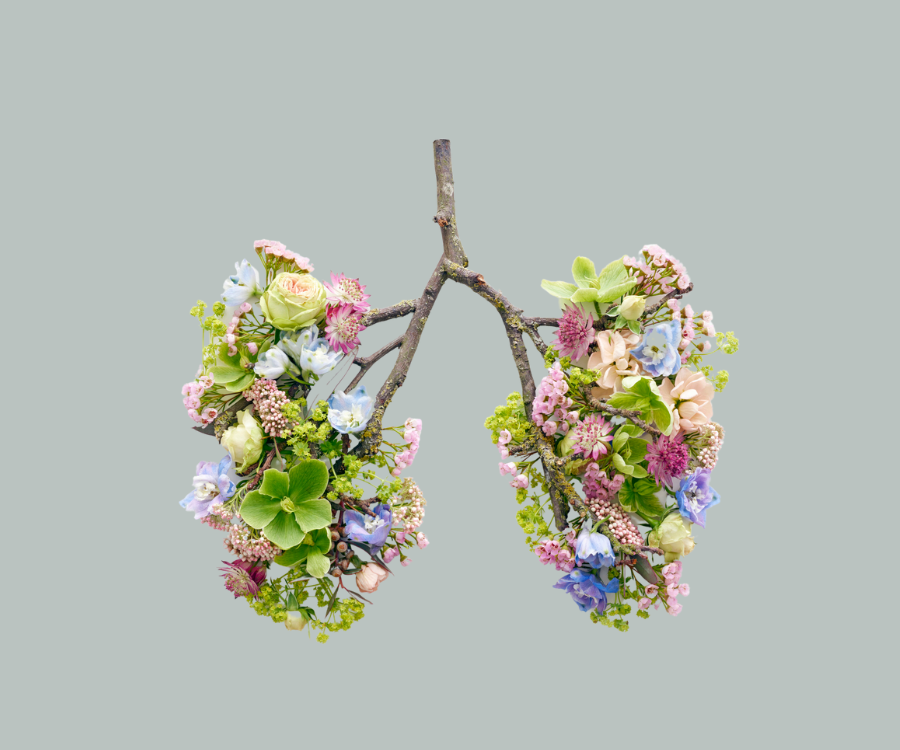 The Lungs: A Bridge Between Ancient Wisdom and Modern Science 8 Landscape 900 x750.zip 23