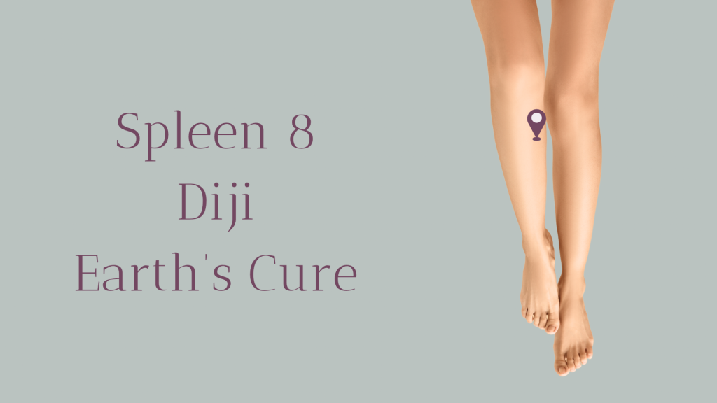 Unlocking the Power of Spleen 8 (Diji): Earth’s Cure for Menstrual Health 8 Website image with tagline